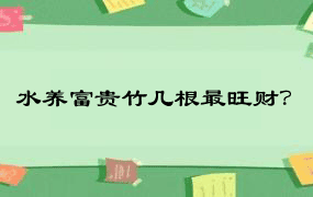 水养富贵竹几根最旺财？