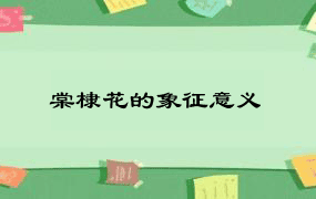 棠棣花的象征意义