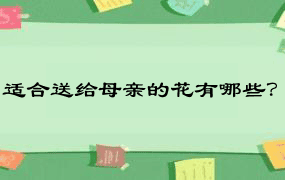 适合送给母亲的花有哪些？