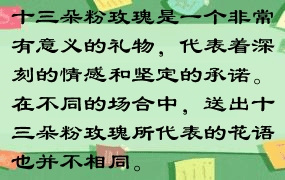 十三朵粉玫瑰是一个非常有意义的礼物，代表着深刻的情感和坚定的承诺。在不同的场合中，送出十三朵粉玫瑰所代表的花语也并不相同。