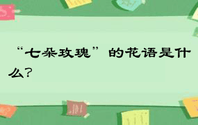 “七朵玫瑰”的花语是什么？