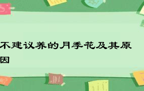 不建议养的月季花及其原因