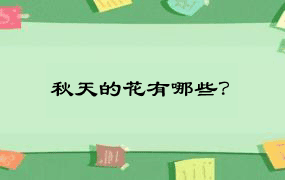 秋天的花有哪些？