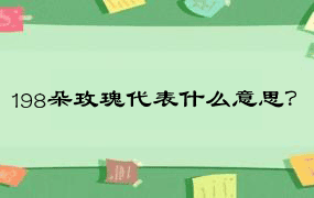 198朵玫瑰代表什么意思？