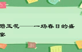 碧玉花——一场春日的盛宴