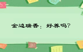 金边瑞香：好养吗？