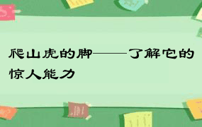 爬山虎的脚——了解它的惊人能力