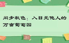 闲步秋色：入目无他人的万亩葡萄园