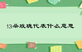 13朵玫瑰代表什么意思