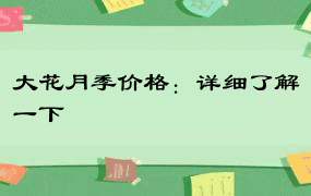 大花月季价格：详细了解一下