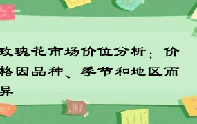 玫瑰花市场价位分析：价格因品种、季节和地区而异