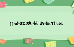 11朵玫瑰花语是什么