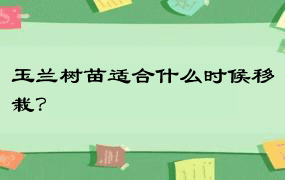 玉兰树苗适合什么时候移栽？