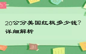 20公分美国红枫多少钱？详细解析