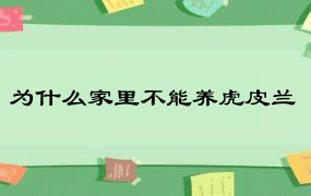 为什么家里不能养虎皮兰