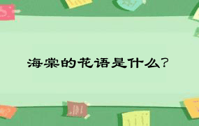 海棠的花语是什么？