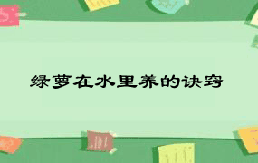 绿萝在水里养的诀窍