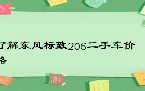 了解东风标致206二手车价格