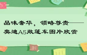 品味奢华，领略尊贵——奥迪A5敞篷车图片欣赏