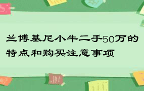 兰博基尼小牛二手50万的特点和购买注意事项