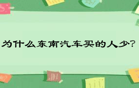 为什么东南汽车买的人少？