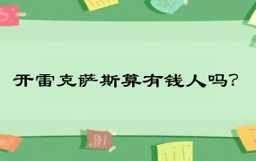 开雷克萨斯算有钱人吗？