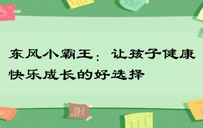 东风小霸王：让孩子健康快乐成长的好选择