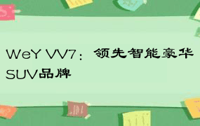 WeY VV7：领先智能豪华SUV品牌