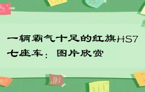 一辆霸气十足的红旗HS7七座车：图片欣赏