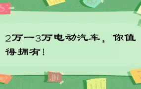 2万一3万电动汽车，你值得拥有！