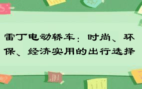 雷丁电动轿车：时尚、环保、经济实用的出行选择