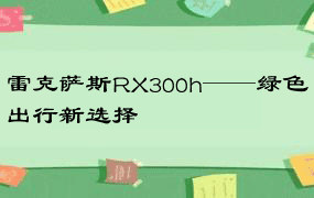 雷克萨斯RX300h——绿色出行新选择