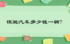 恒驰汽车多少钱一辆？