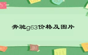 奔驰g63价格及图片