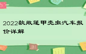 2022款敞篷甲壳虫汽车报价详解