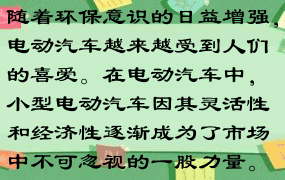 随着环保意识的日益增强，电动汽车越来越受到人们的喜爱。在电动汽车中，小型电动汽车因其灵活性和经济性逐渐成为了市场中不可忽视的一股力量。