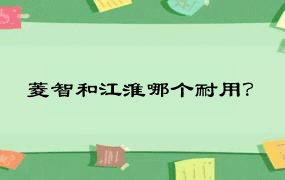 菱智和江淮哪个耐用？