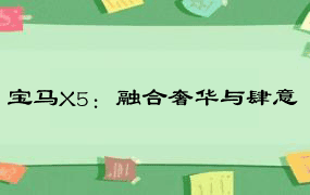 宝马X5：融合奢华与肆意