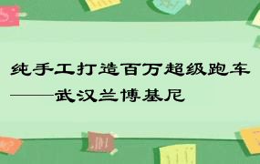 纯手工打造百万超级跑车——武汉兰博基尼