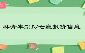 林肯车SUV七座报价信息