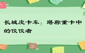 长城皮卡车：堪称重卡中的佼佼者