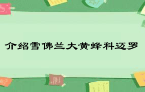 介绍雪佛兰大黄蜂科迈罗