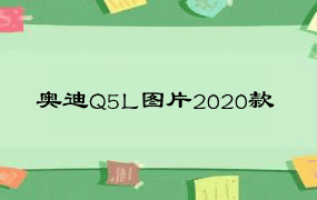 奥迪Q5L图片2020款