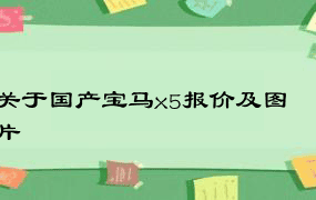 关于国产宝马x5报价及图片