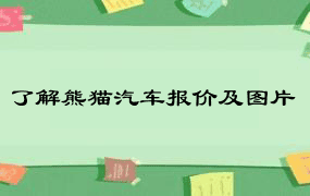 了解熊猫汽车报价及图片