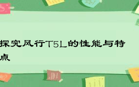 探究风行T5L的性能与特点