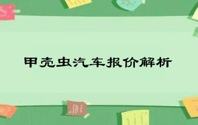 甲壳虫汽车报价解析