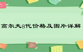 高尔夫8代价格及图片详解