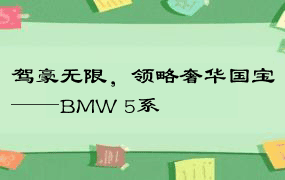 驾豪无限，领略奢华国宝——BMW 5系