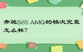 奔驰S65 AMG的档次究竟怎么样？